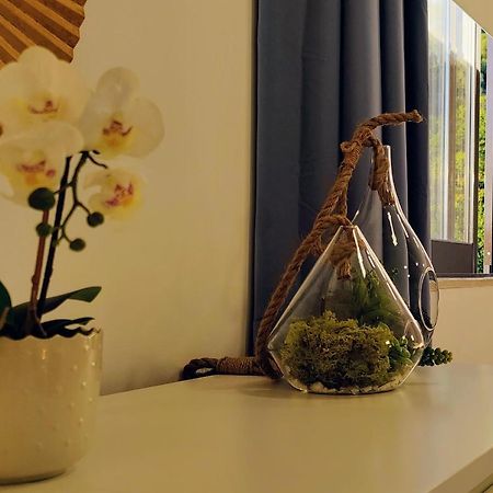 Stylish And Elegant Studio - Best View And Location In Coimbra Downton Esterno foto